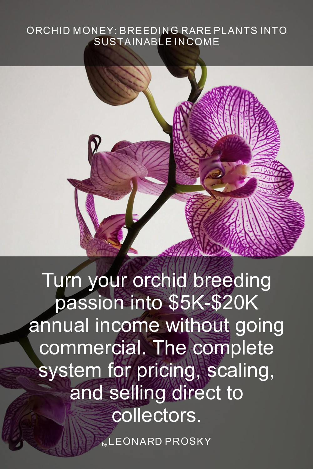 Cover of Orchid Money: Breeding Rare Plants Into Sustainable Income