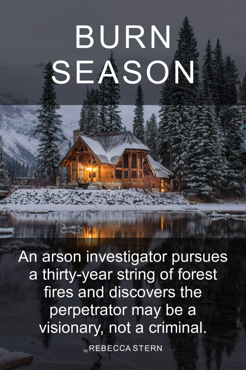 Cover of Burn Season