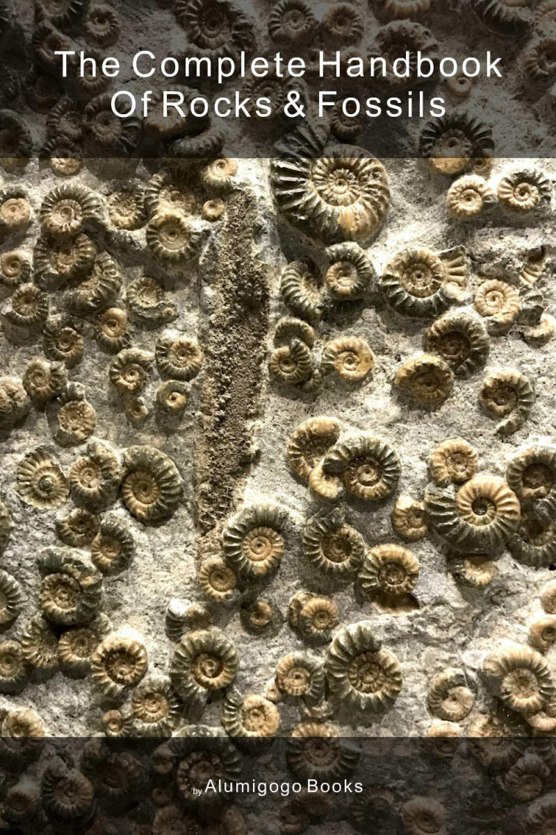 Cover of The Complete Handbook of Rocks & Fossils