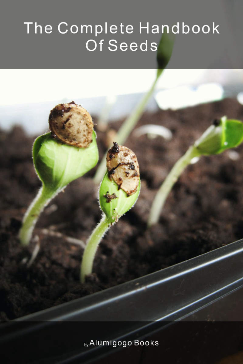 Cover of The Complete Handbook of Seeds