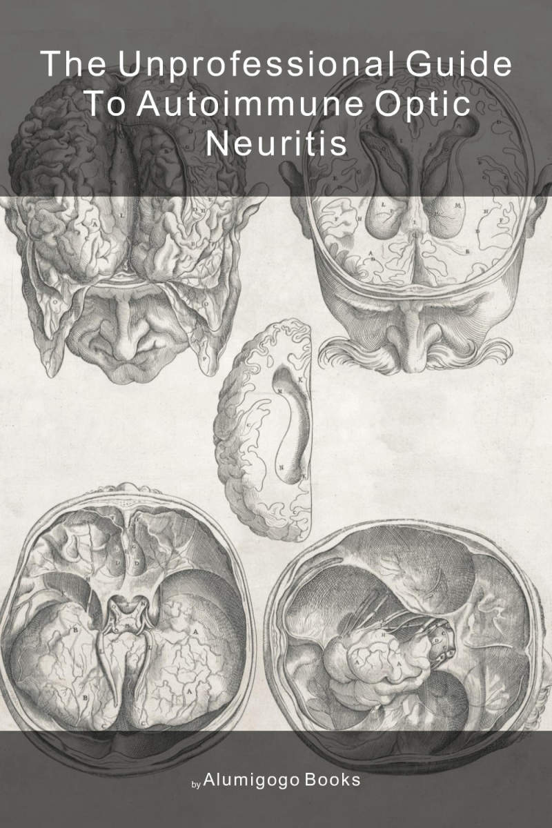 Cover of The Unprofessional Guide to autoimmune optic neuritis