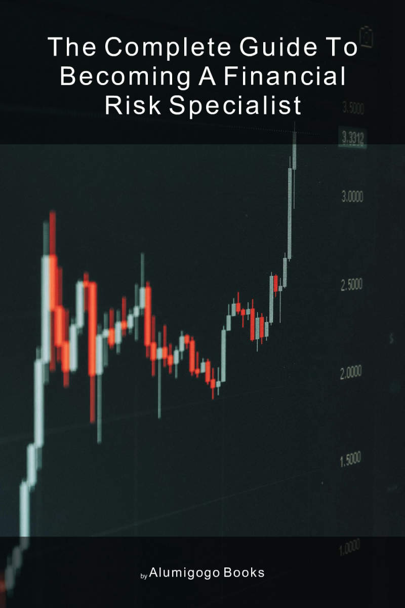 Cover of The Complete Guide to Becoming A Financial Risk Specialist