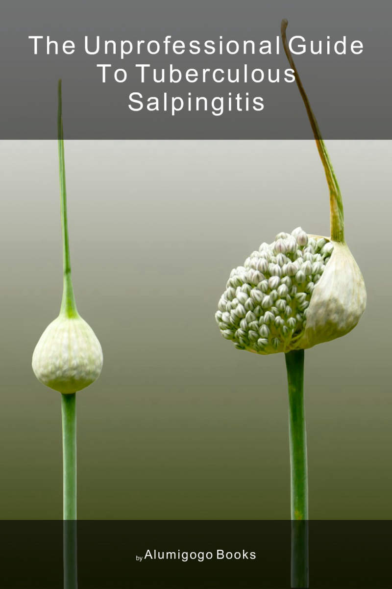 Cover of The Unprofessional Guide to tuberculous salpingitis