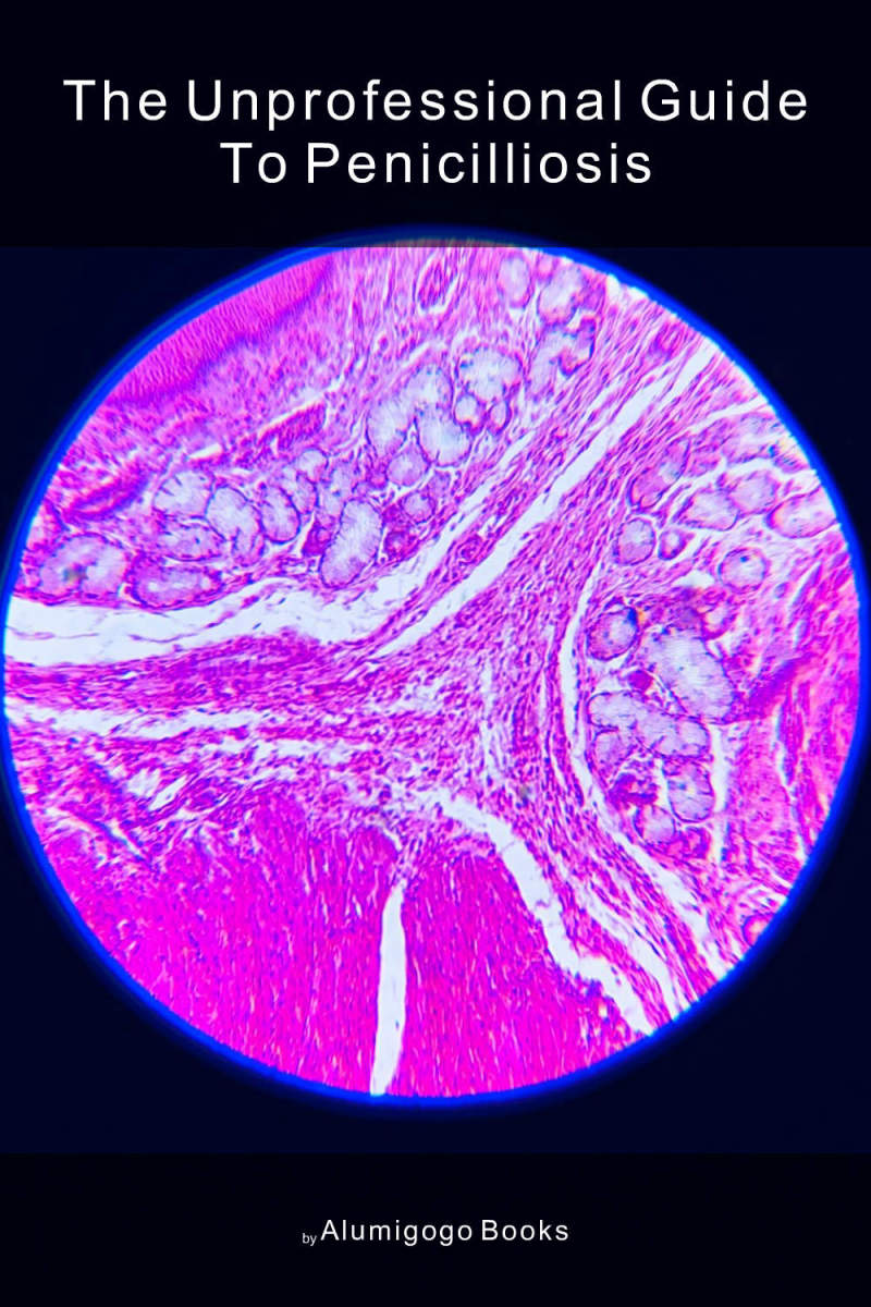 Cover of The Unprofessional Guide to penicilliosis