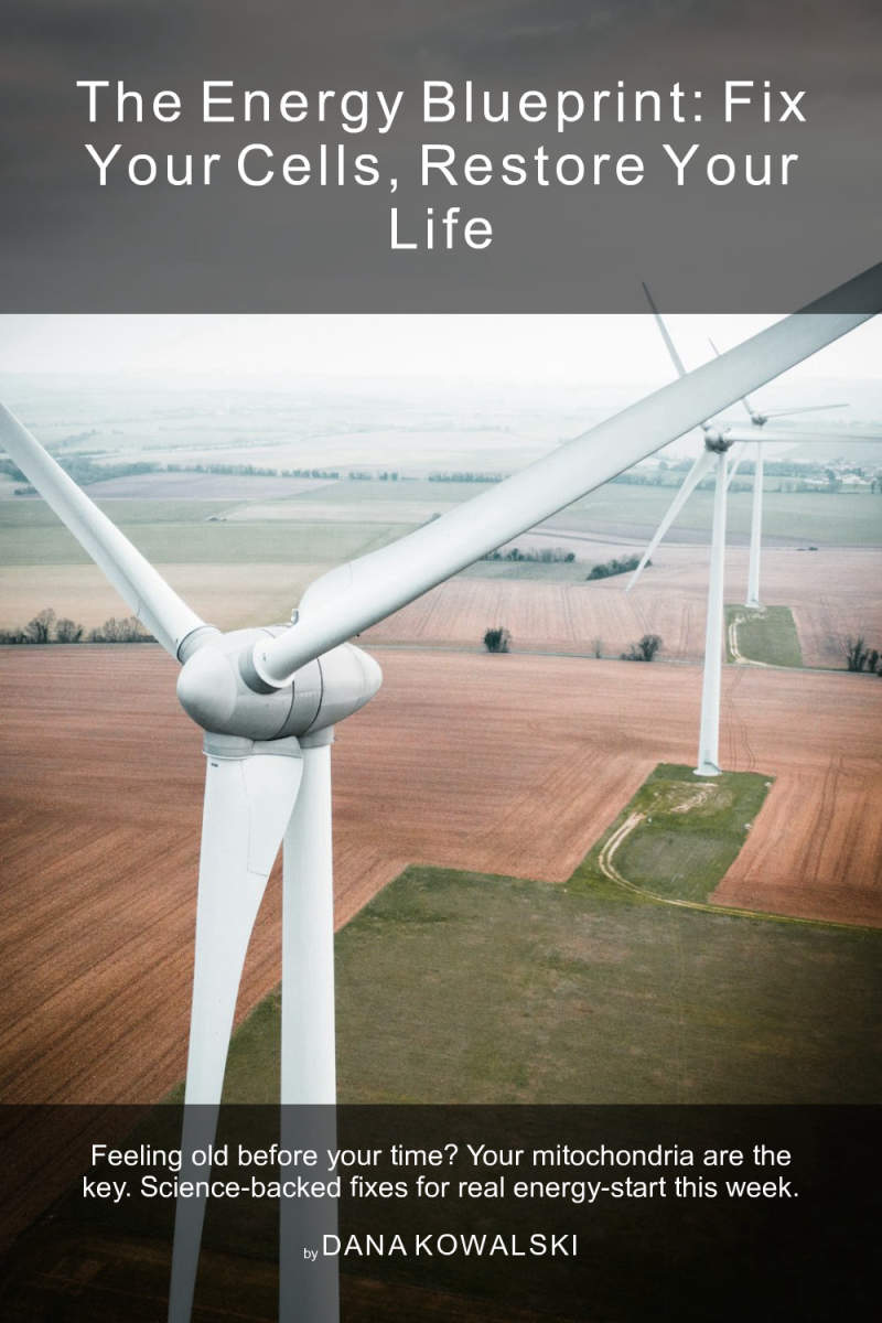 Cover of The Energy Blueprint: Fix Your Cells, Restore Your Life