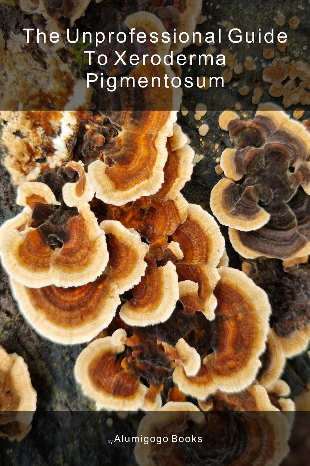 Cover of The Unprofessional Guide to xeroderma pigmentosum