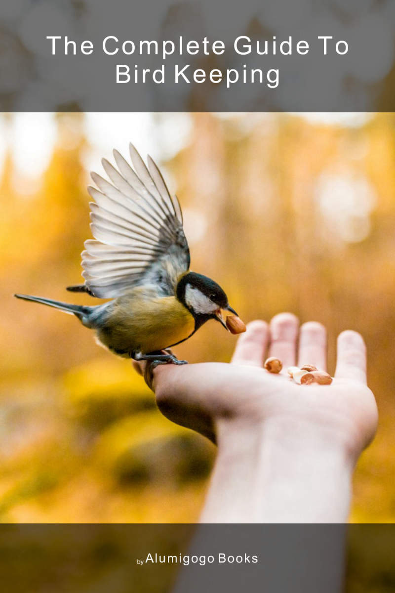 The Complete Guide to Bird Keeping