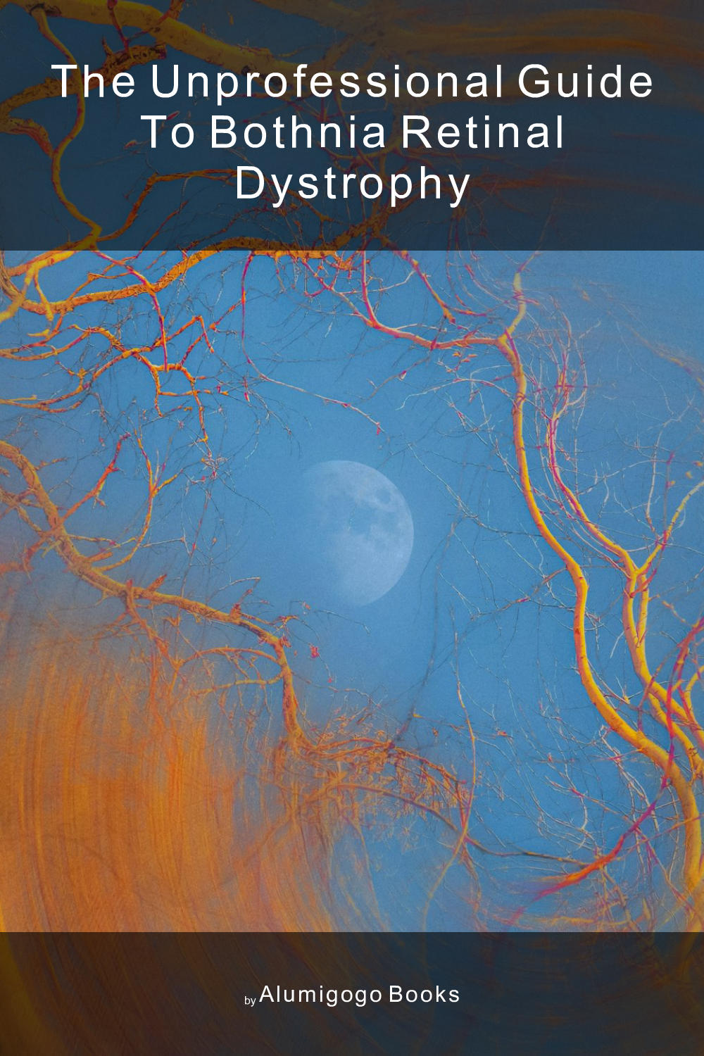 Cover of The Unprofessional Guide to Bothnia retinal dystrophy