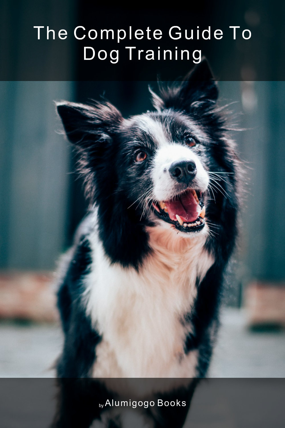 Cover of The Complete Guide to Dog Training