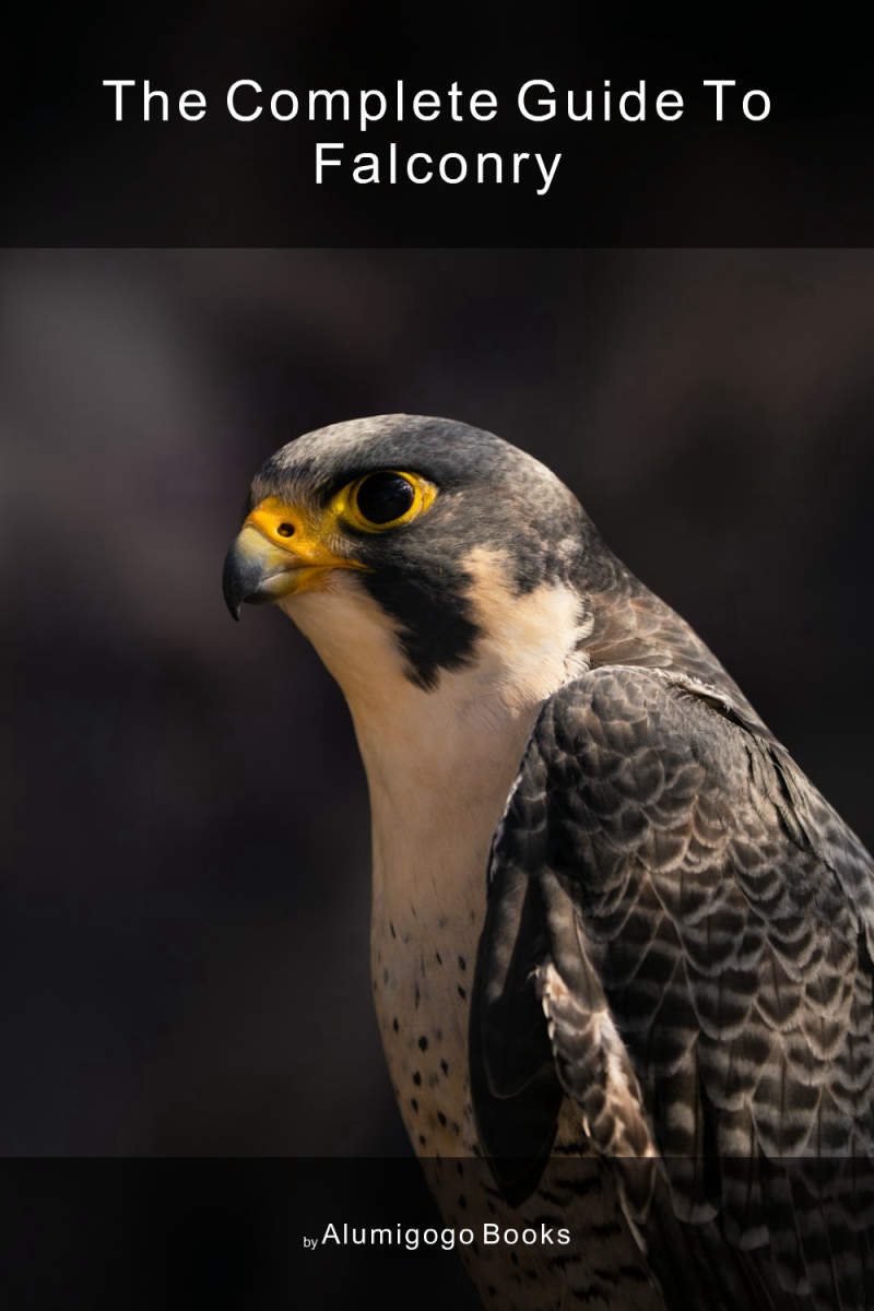Cover of The Complete Guide to Falconry