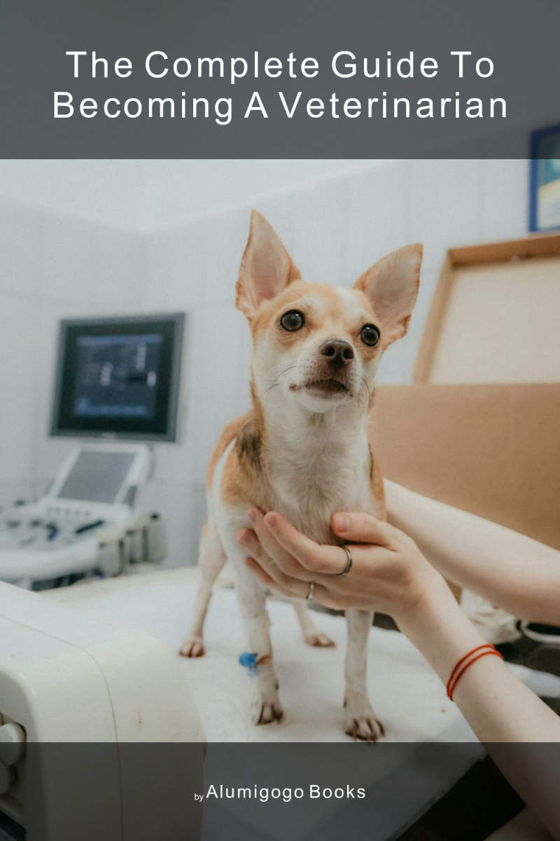 Cover of The Complete Guide to Becoming A Veterinarian