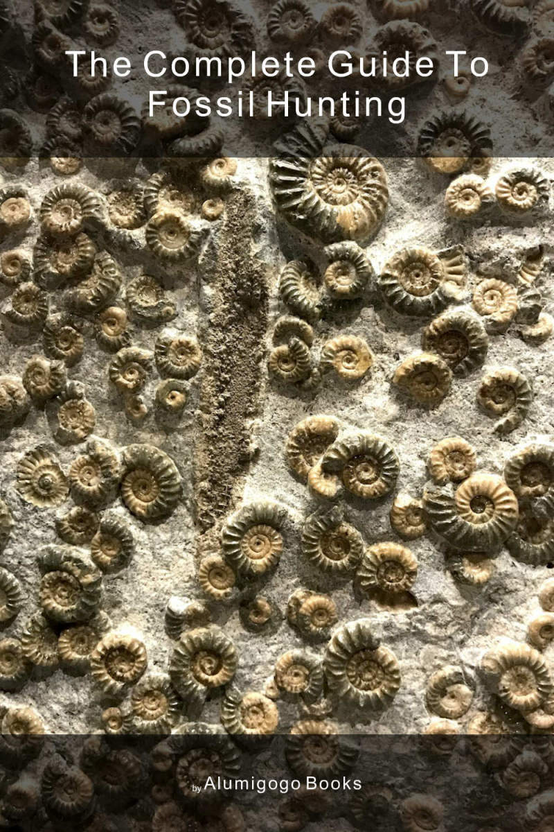 Cover of The Complete Guide to Fossil Hunting