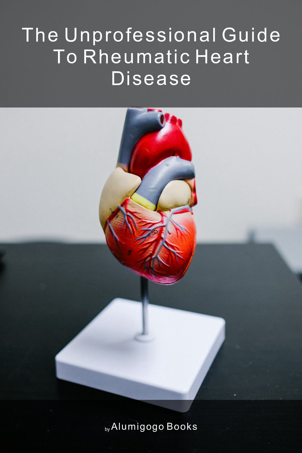 Cover of The Unprofessional Guide to rheumatic heart disease