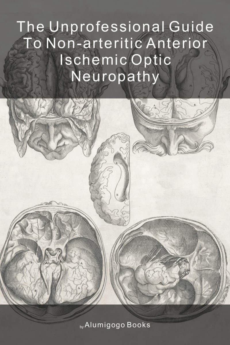 Cover of The Unprofessional Guide to non-arteritic anterior ischemic optic neuropathy