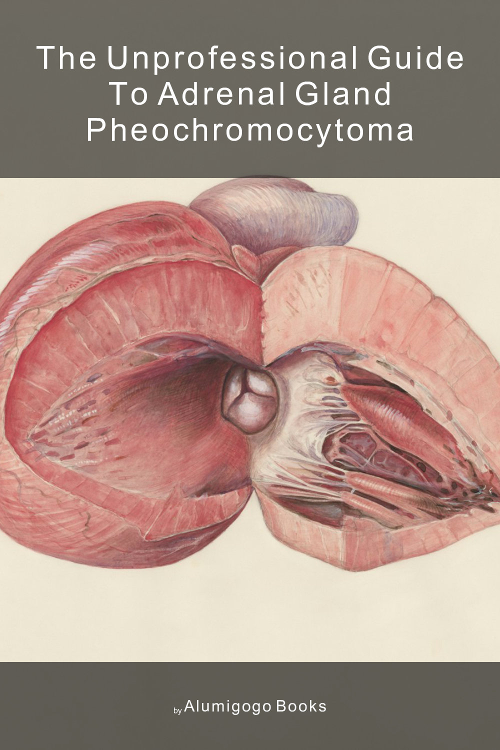 Cover of The Unprofessional Guide to adrenal gland pheochromocytoma