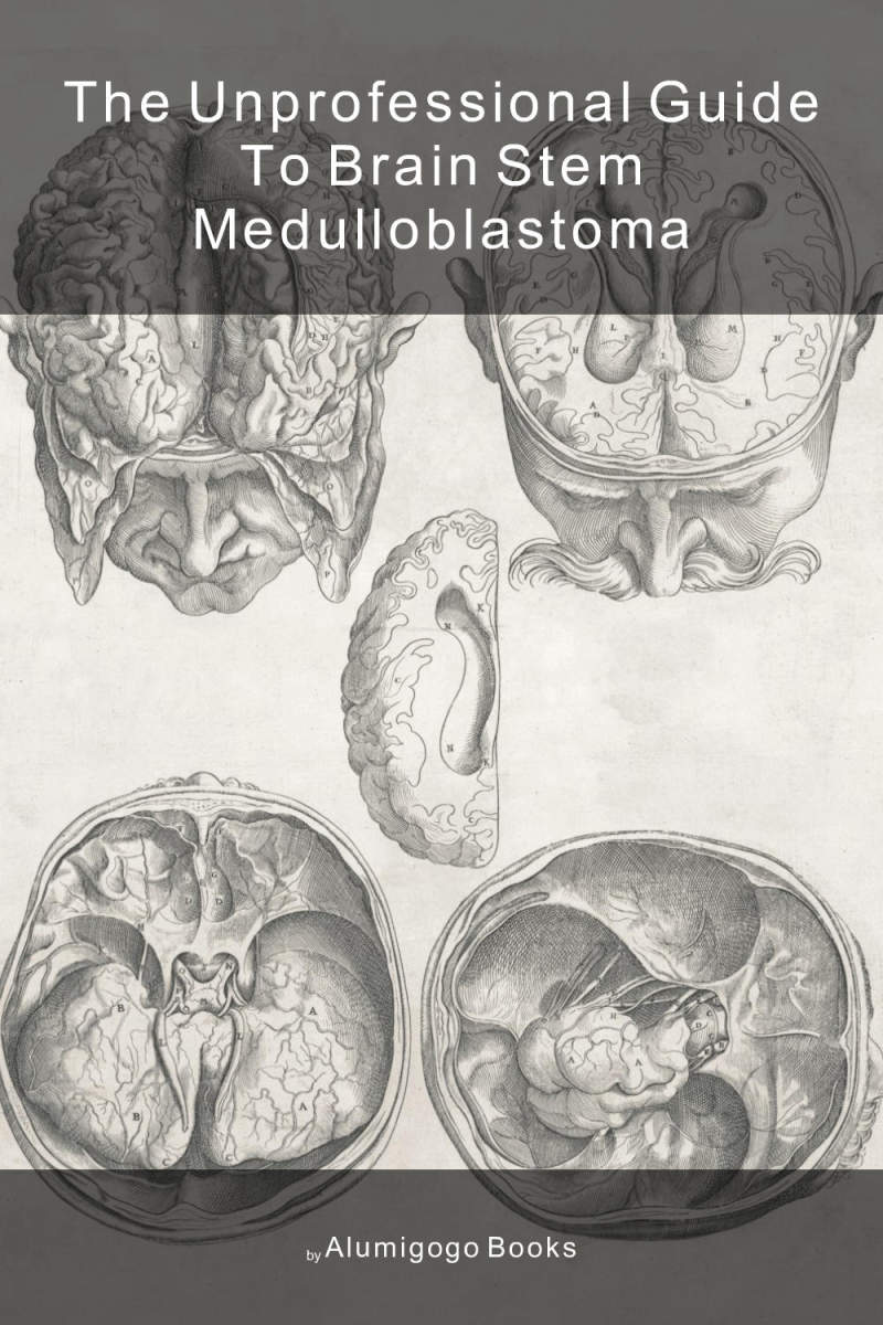 Cover of The Unprofessional Guide to brain stem medulloblastoma