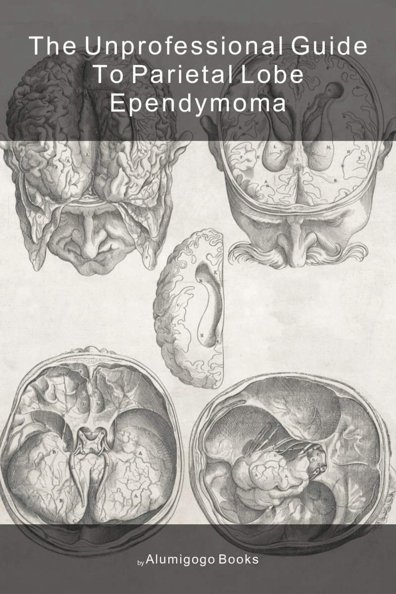 Cover of The Unprofessional Guide to parietal lobe ependymoma