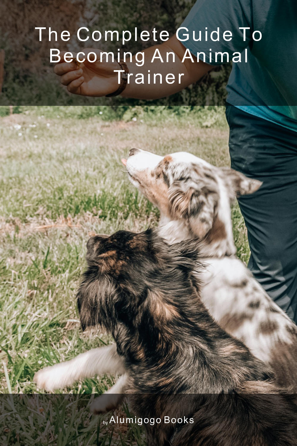 Cover of The Complete Guide to Becoming An Animal Trainer