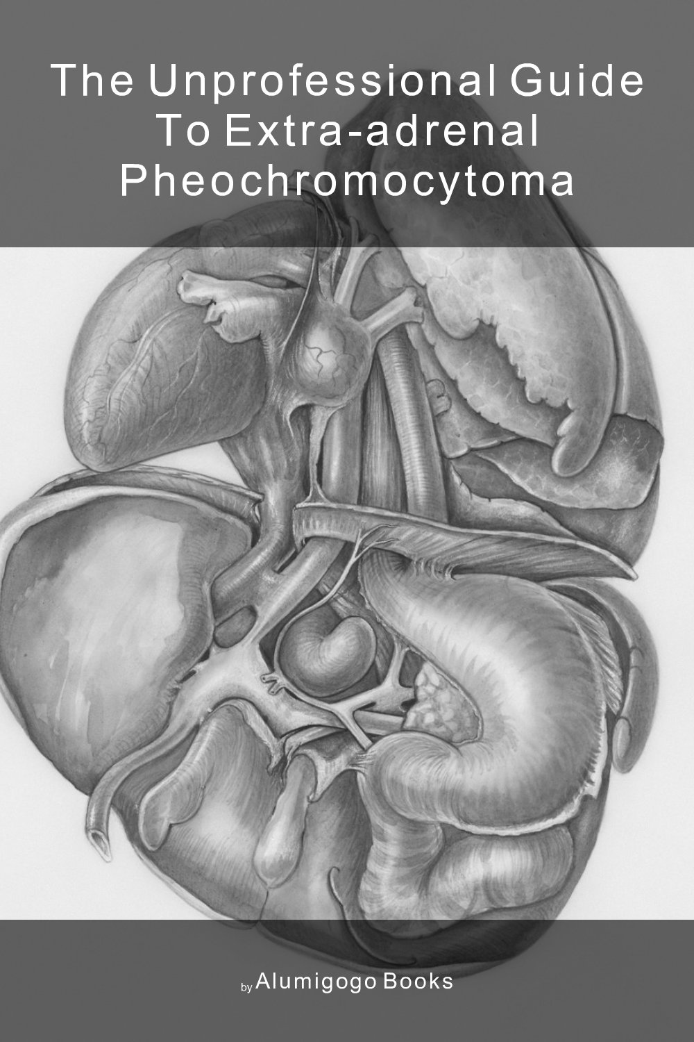 Cover of The Unprofessional Guide to extra-adrenal pheochromocytoma