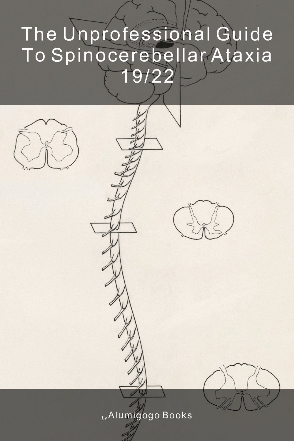 Cover of The Unprofessional Guide to spinocerebellar ataxia 19/22
