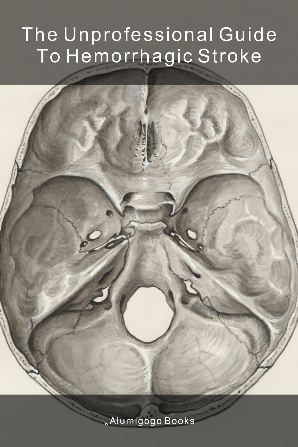 Cover of The Unprofessional Guide to hemorrhagic stroke