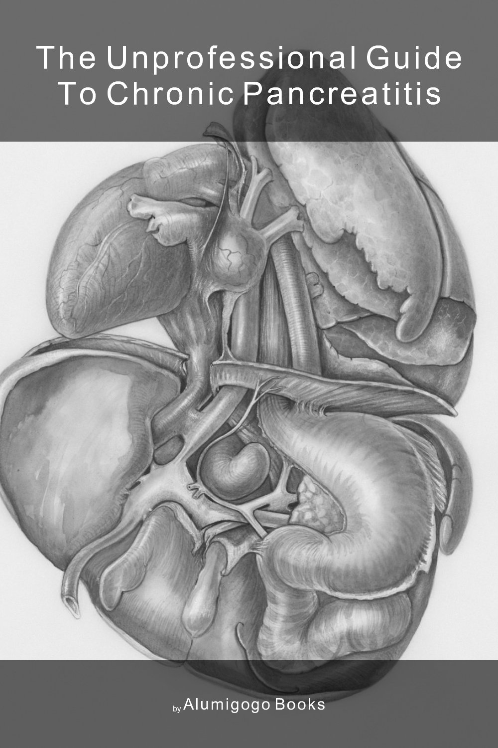 Cover of The Unprofessional Guide to chronic pancreatitis