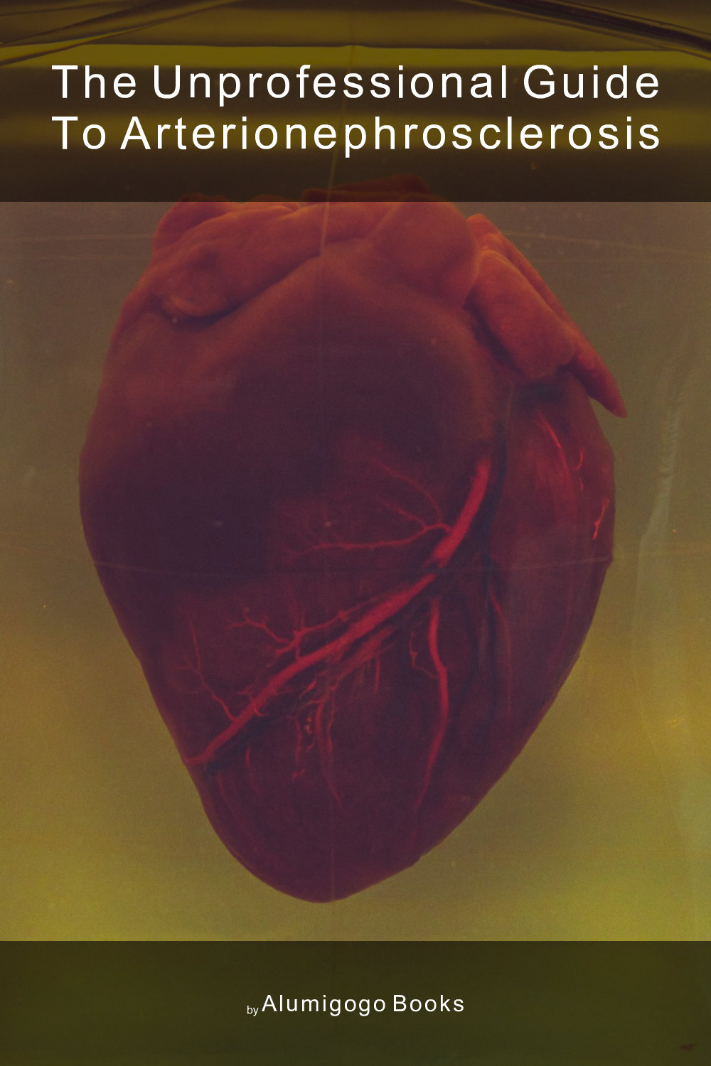 Cover of The Unprofessional Guide to arterionephrosclerosis