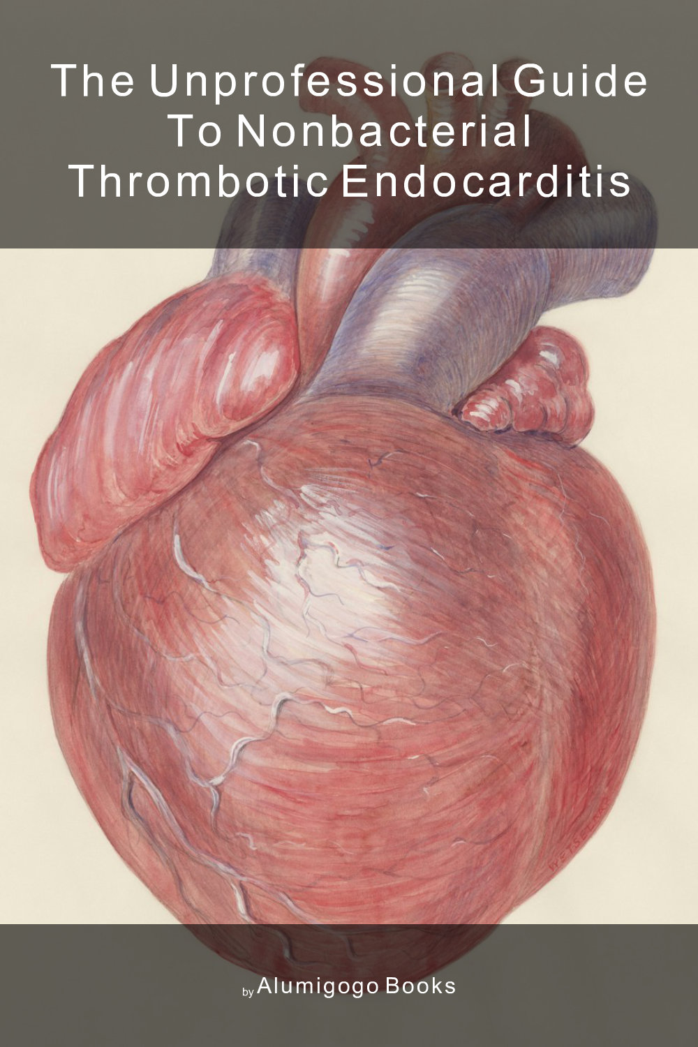 Cover of The Unprofessional Guide to nonbacterial thrombotic endocarditis