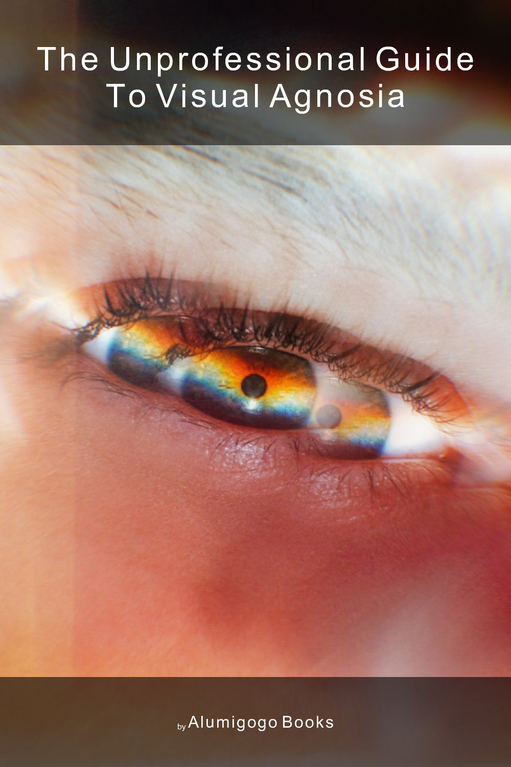 Cover of The Unprofessional Guide to visual agnosia