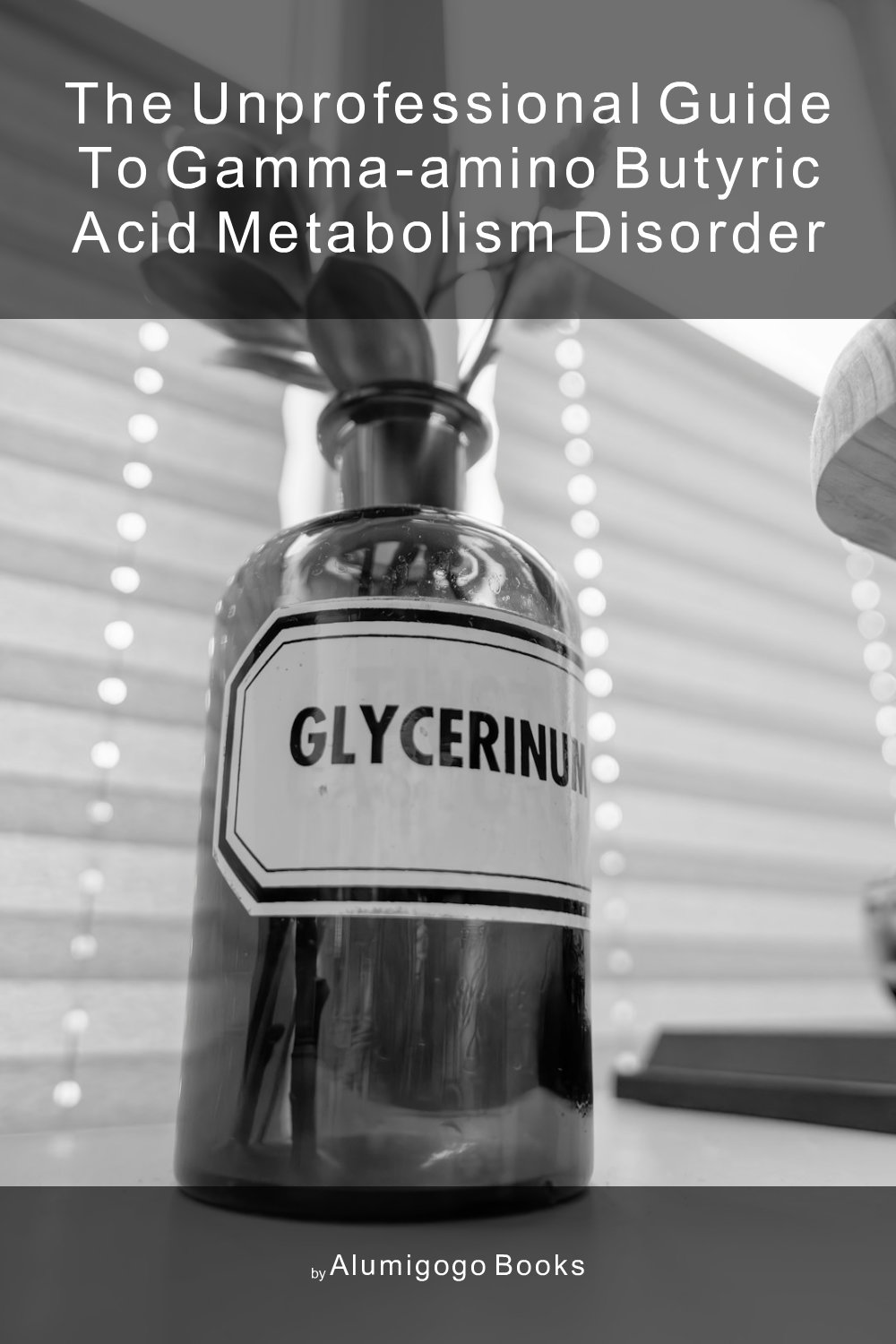 Cover of The Unprofessional Guide to gamma-amino butyric acid metabolism disorder