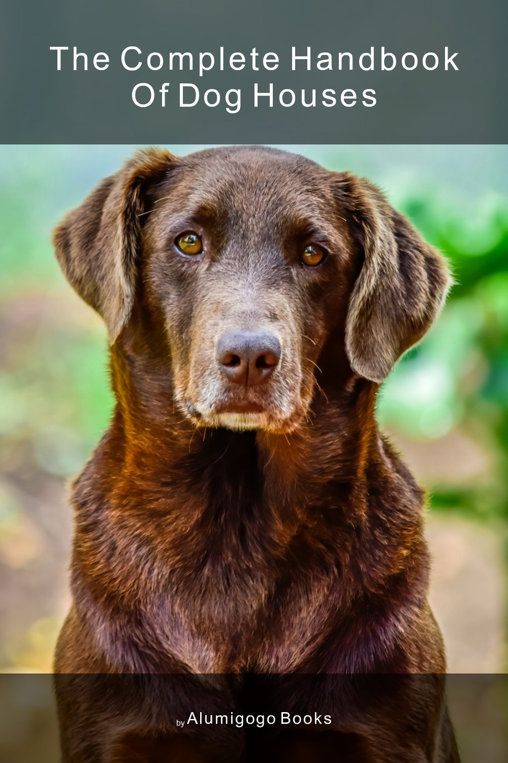 Cover of The Complete Handbook of Dog Houses