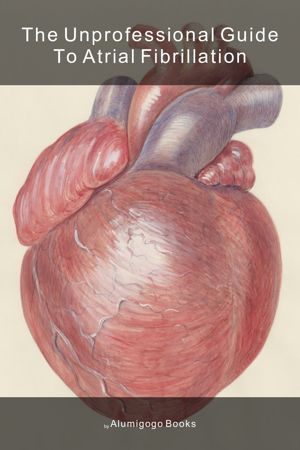 Cover of The Unprofessional Guide to atrial fibrillation