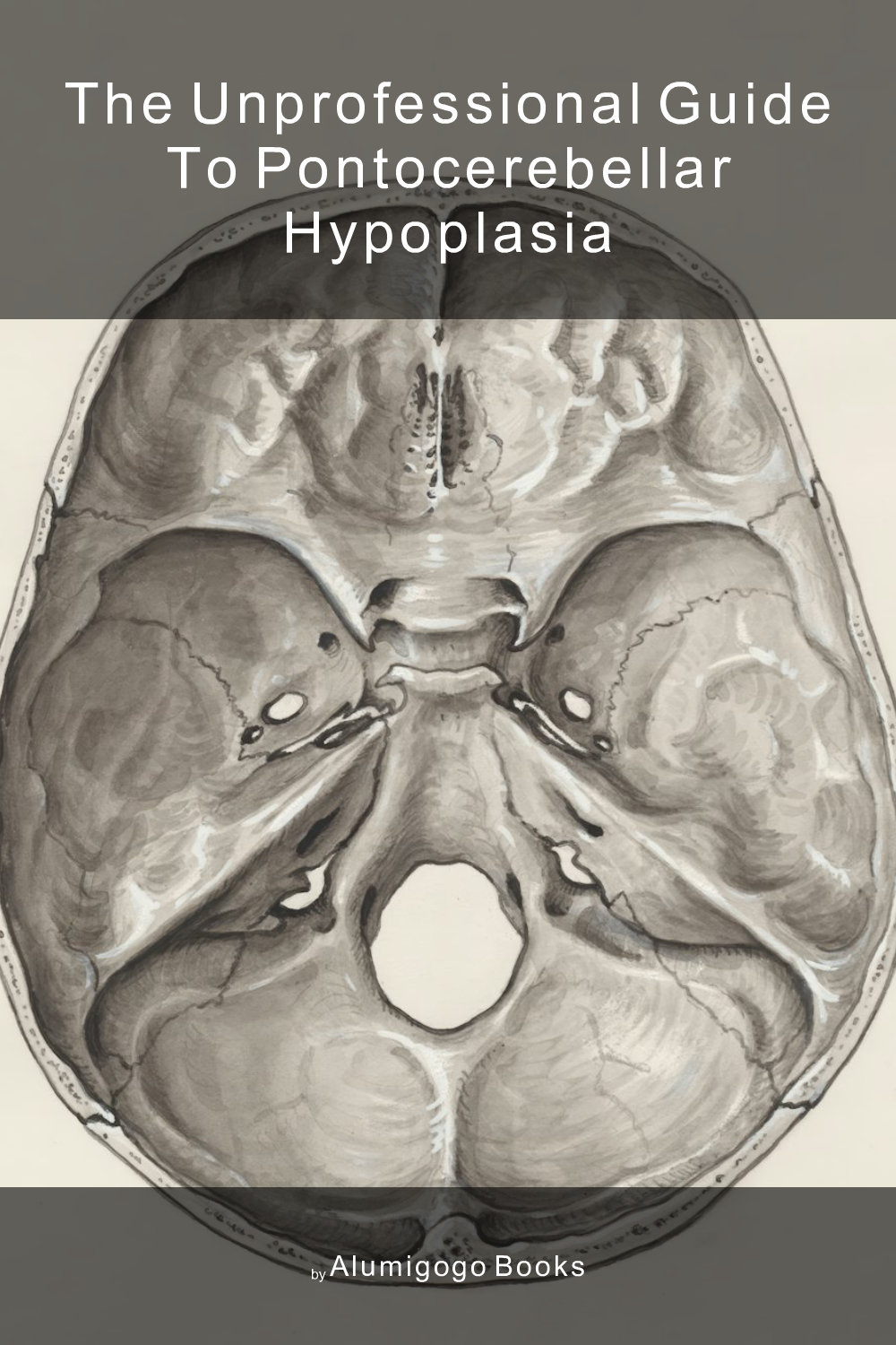 Cover of The Unprofessional Guide to pontocerebellar hypoplasia