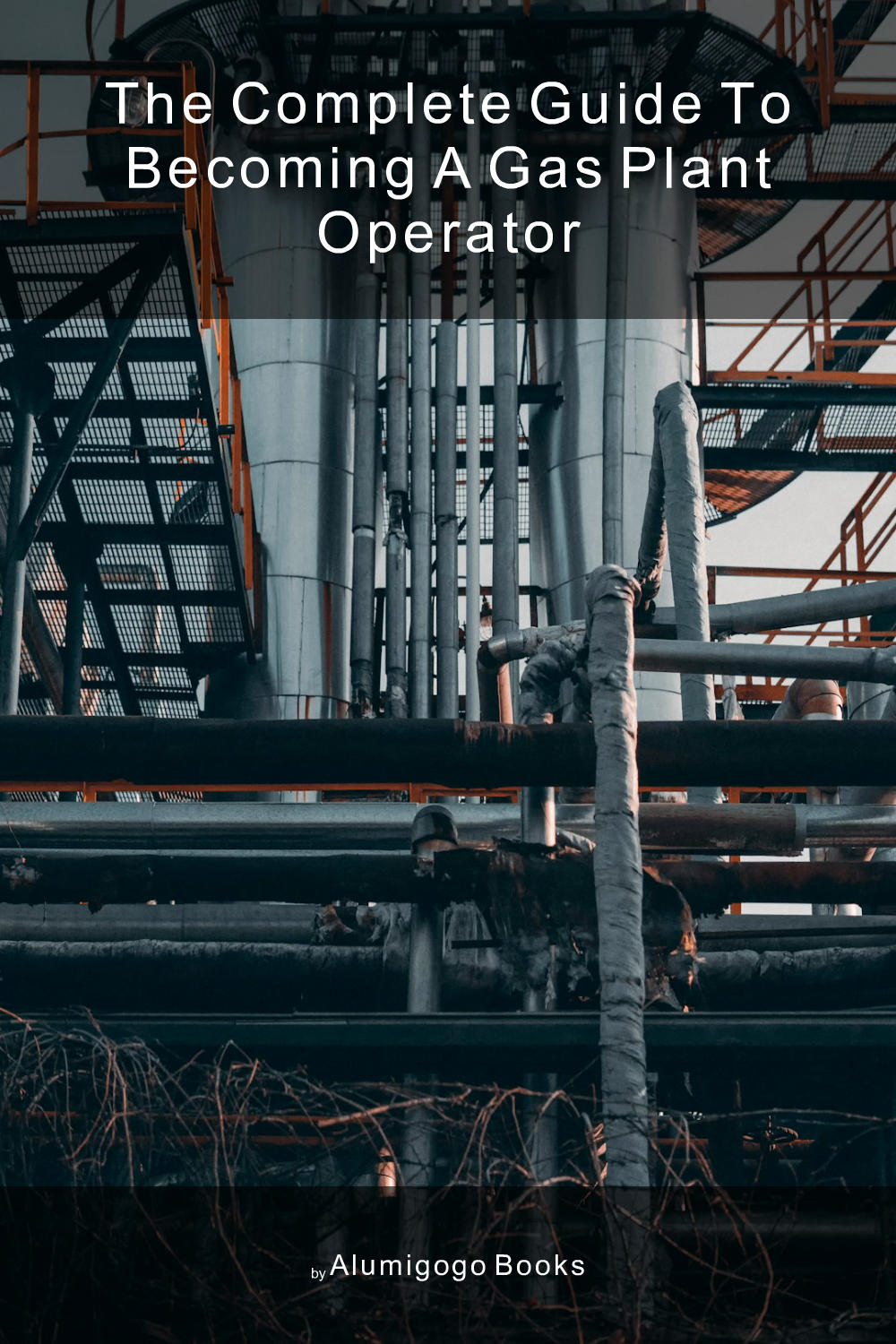 Cover of The Complete Guide to Becoming A Gas Plant Operator
