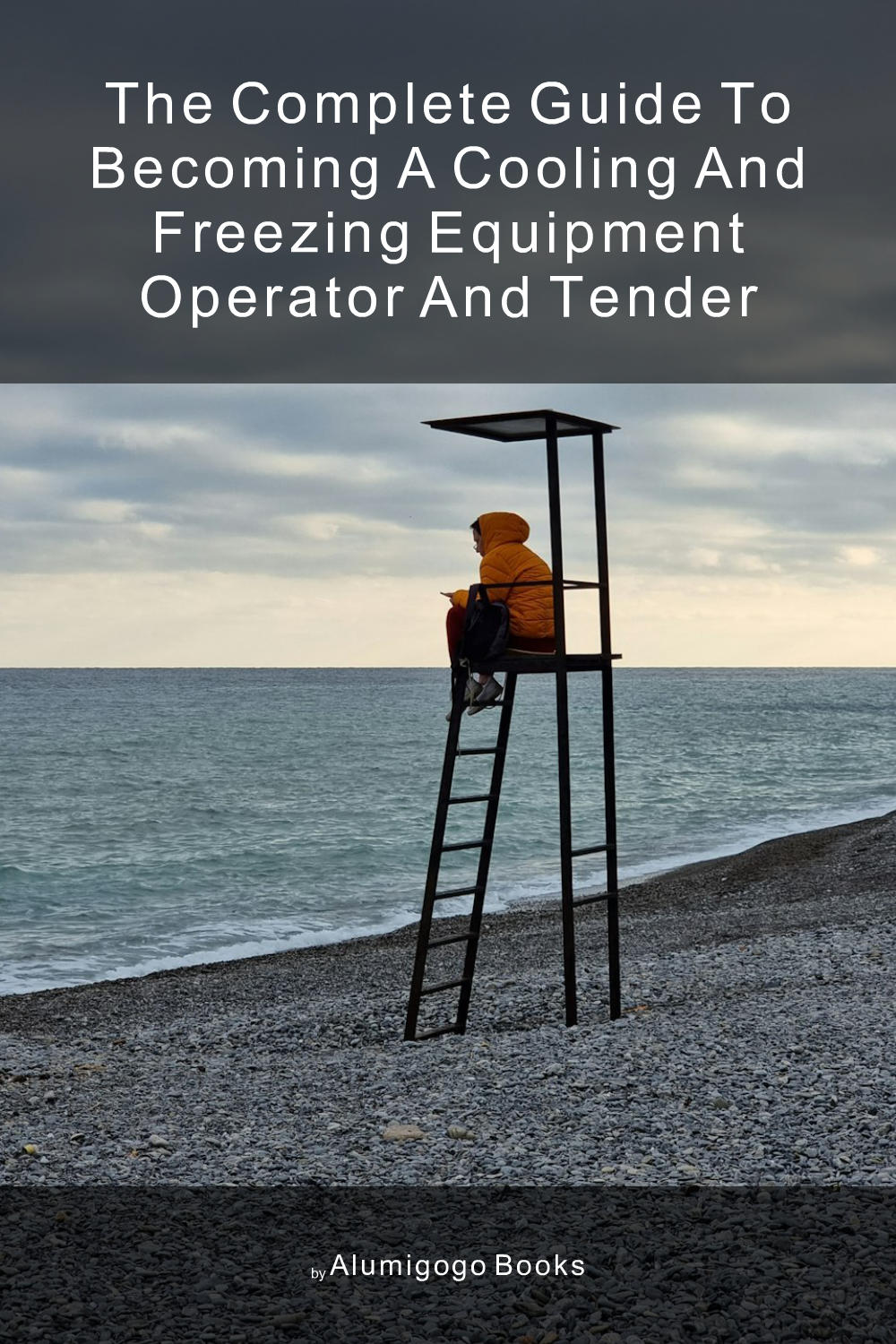 Cover of The Complete Guide to Becoming A Cooling and Freezing Equipment Operator and Tender