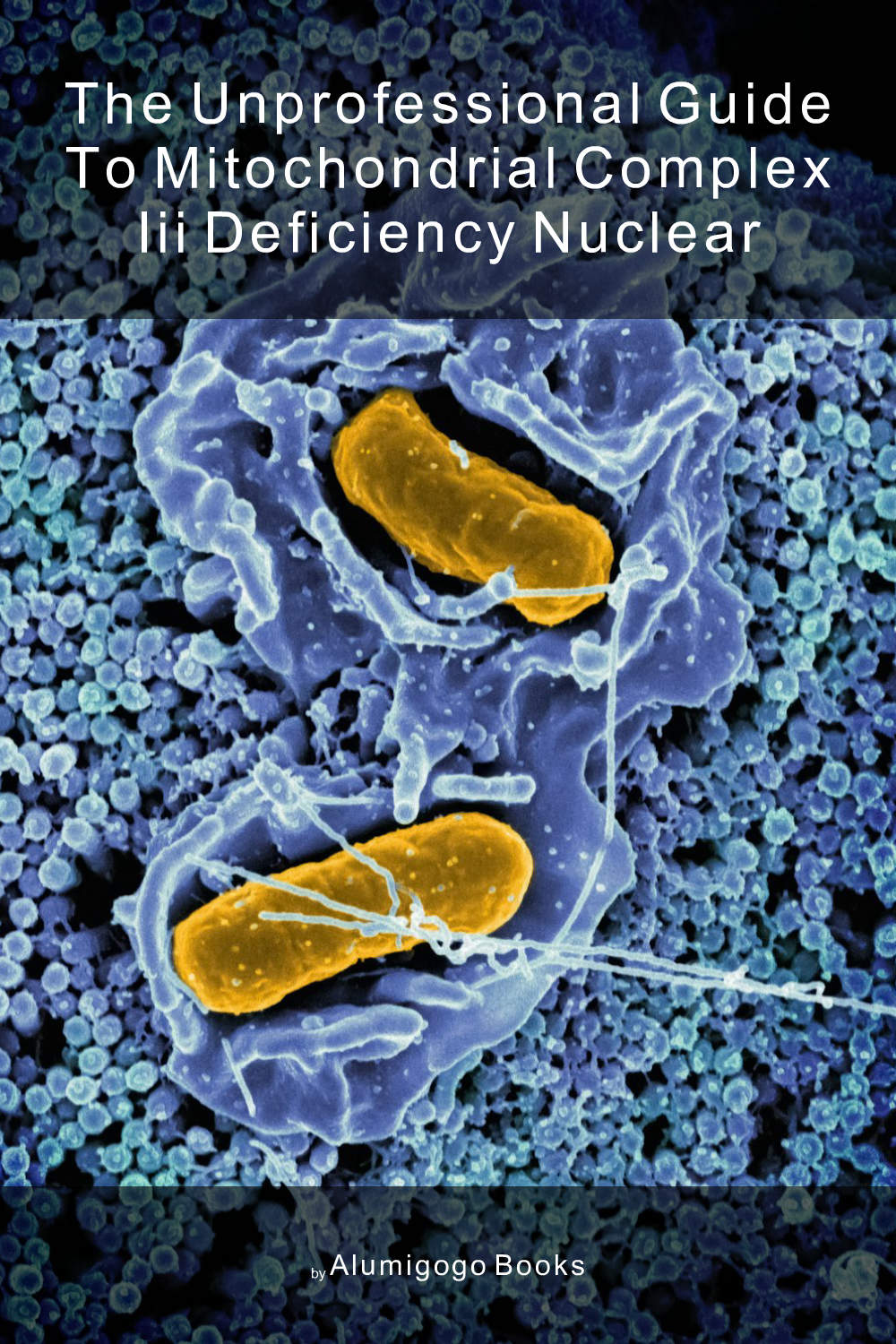 Cover of The Unprofessional Guide to mitochondrial complex III deficiency nuclear