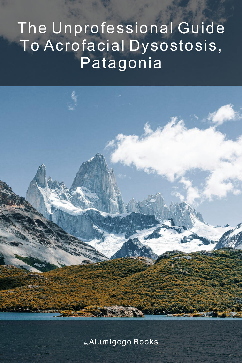 Cover of The Unprofessional Guide to acrofacial dysostosis, Patagonia