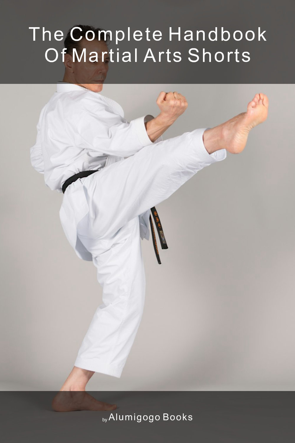 Cover of The Complete Handbook of Martial Arts Shorts