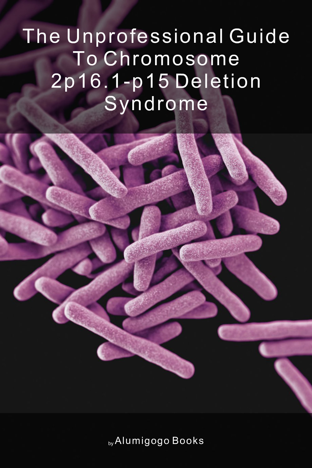 Cover of The Unprofessional Guide to chromosome 2p16.1-p15 deletion syndrome
