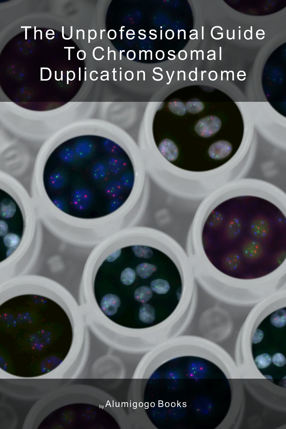 Cover of The Unprofessional Guide to chromosomal duplication syndrome