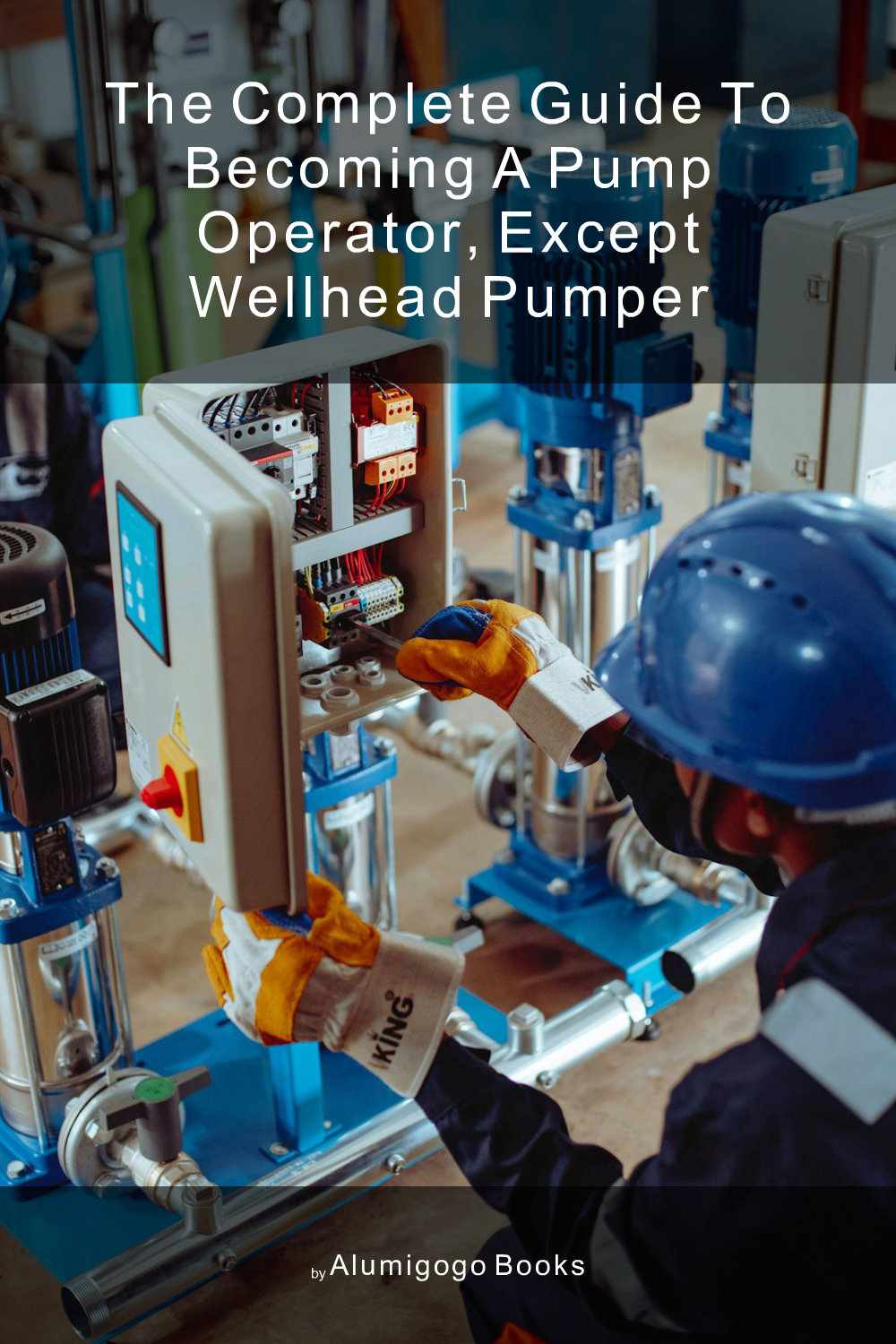 Cover of The Complete Guide to Becoming A Pump Operator, Except Wellhead Pumper