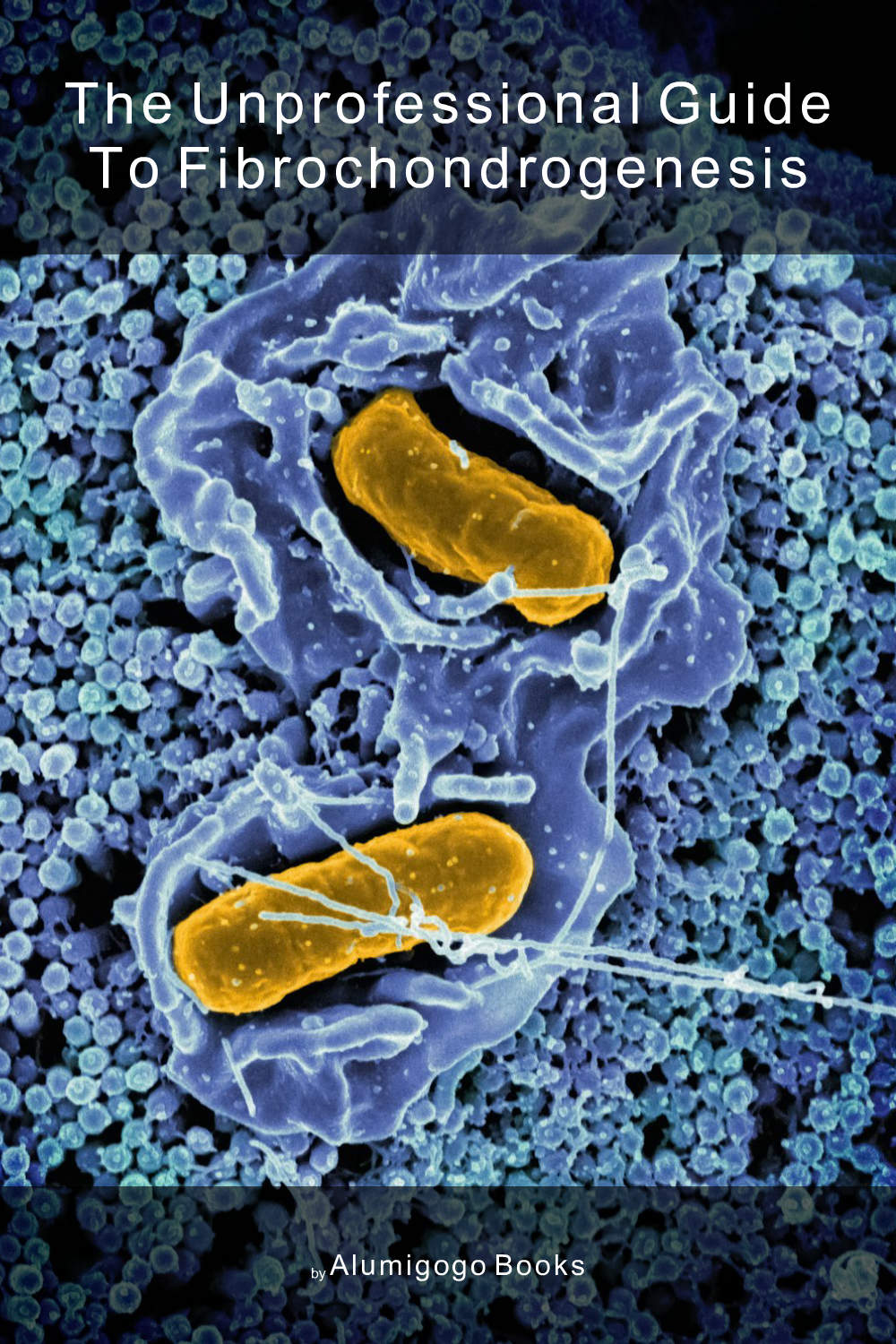 Cover of The Unprofessional Guide to fibrochondrogenesis