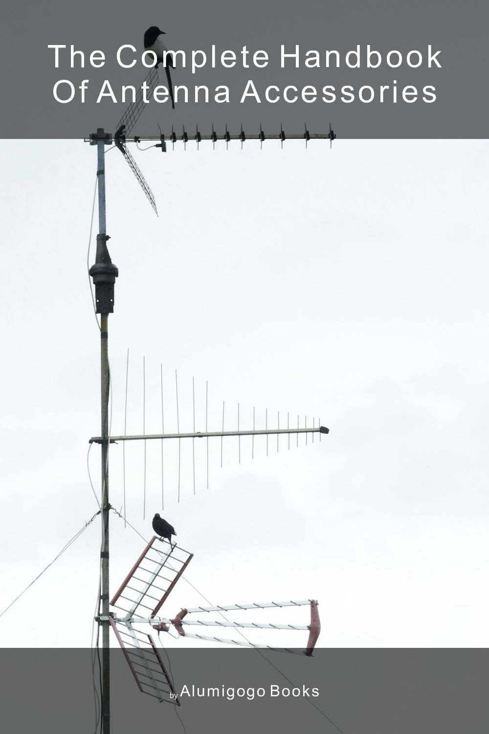 Cover of The Complete Handbook of Antenna Accessories
