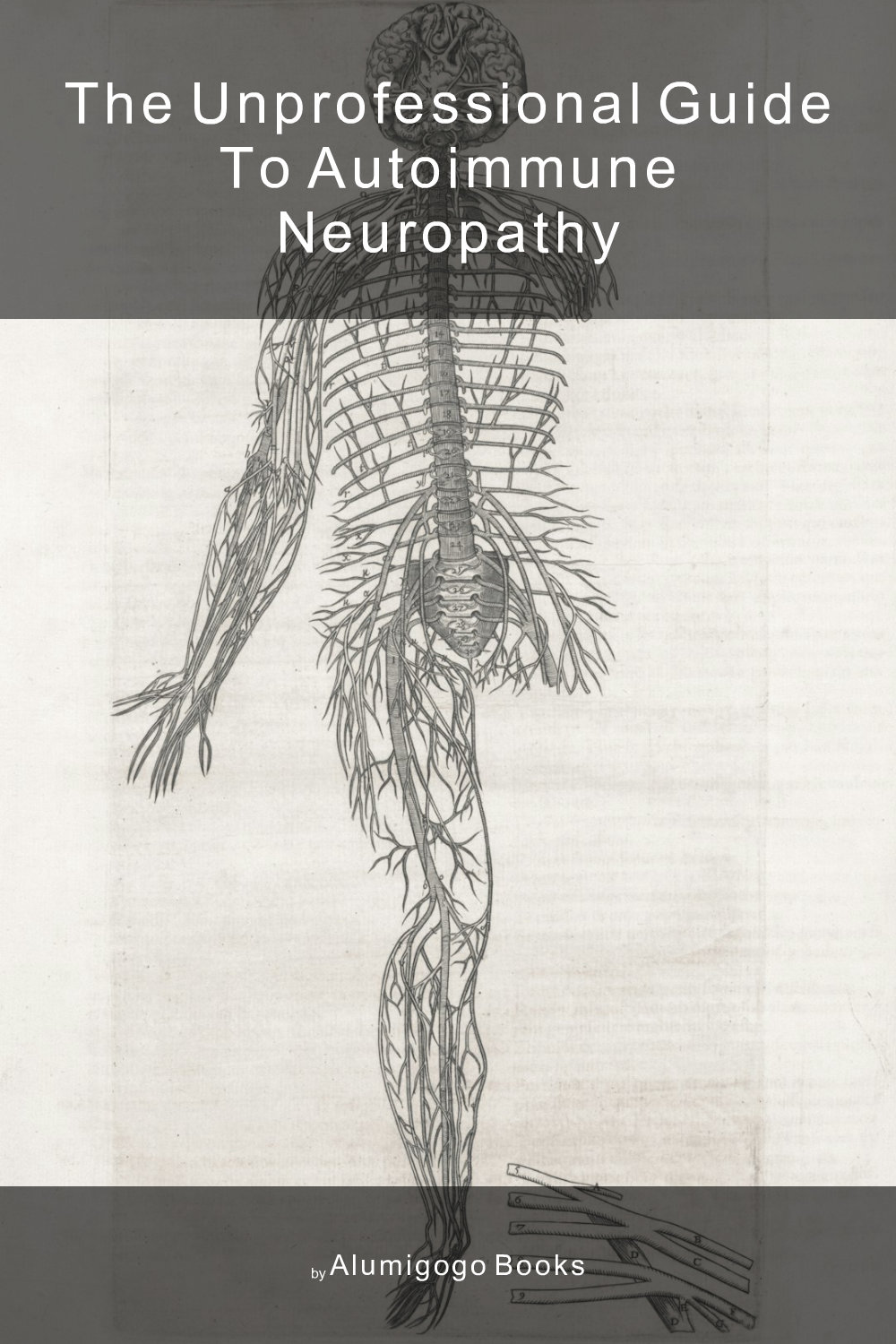 Cover of The Unprofessional Guide to autoimmune neuropathy