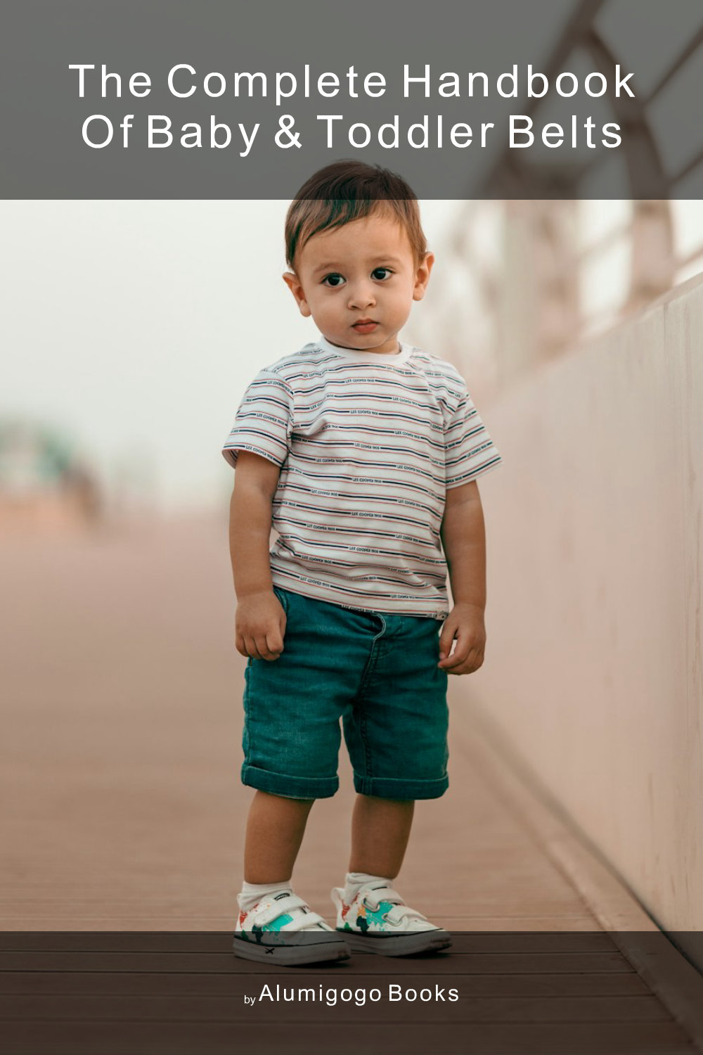 Cover of The Complete Handbook of Baby & Toddler Belts