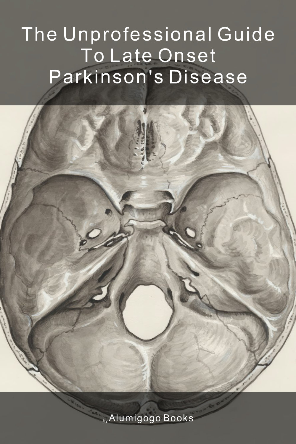 Cover of The Unprofessional Guide to late onset Parkinson's disease