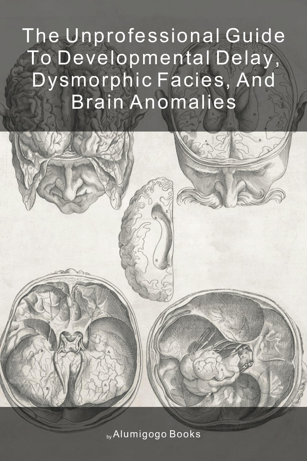 Cover of The Unprofessional Guide to developmental delay, dysmorphic facies, and brain anomalies
