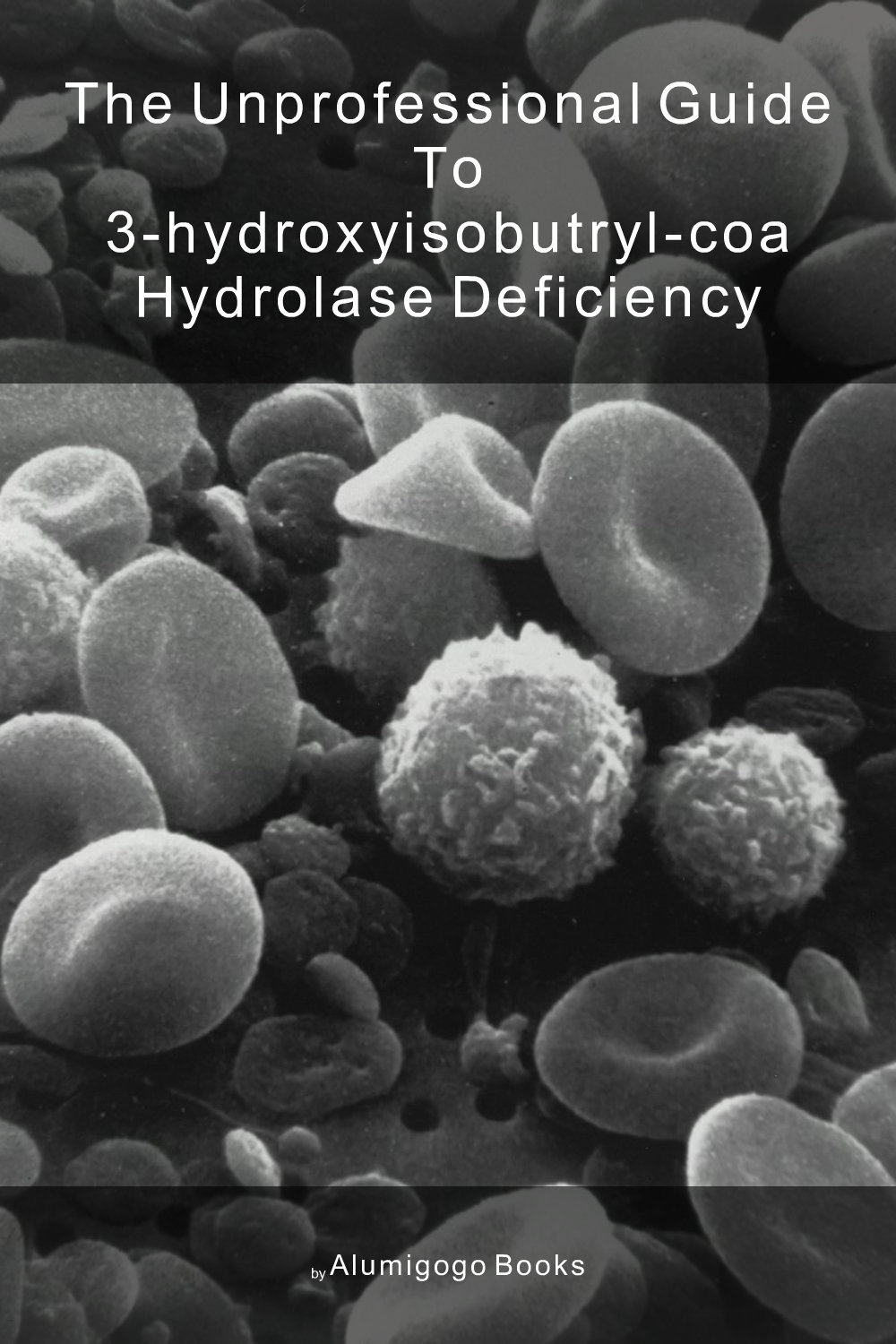 Cover of The Unprofessional Guide to 3-hydroxyisobutryl-CoA hydrolase deficiency