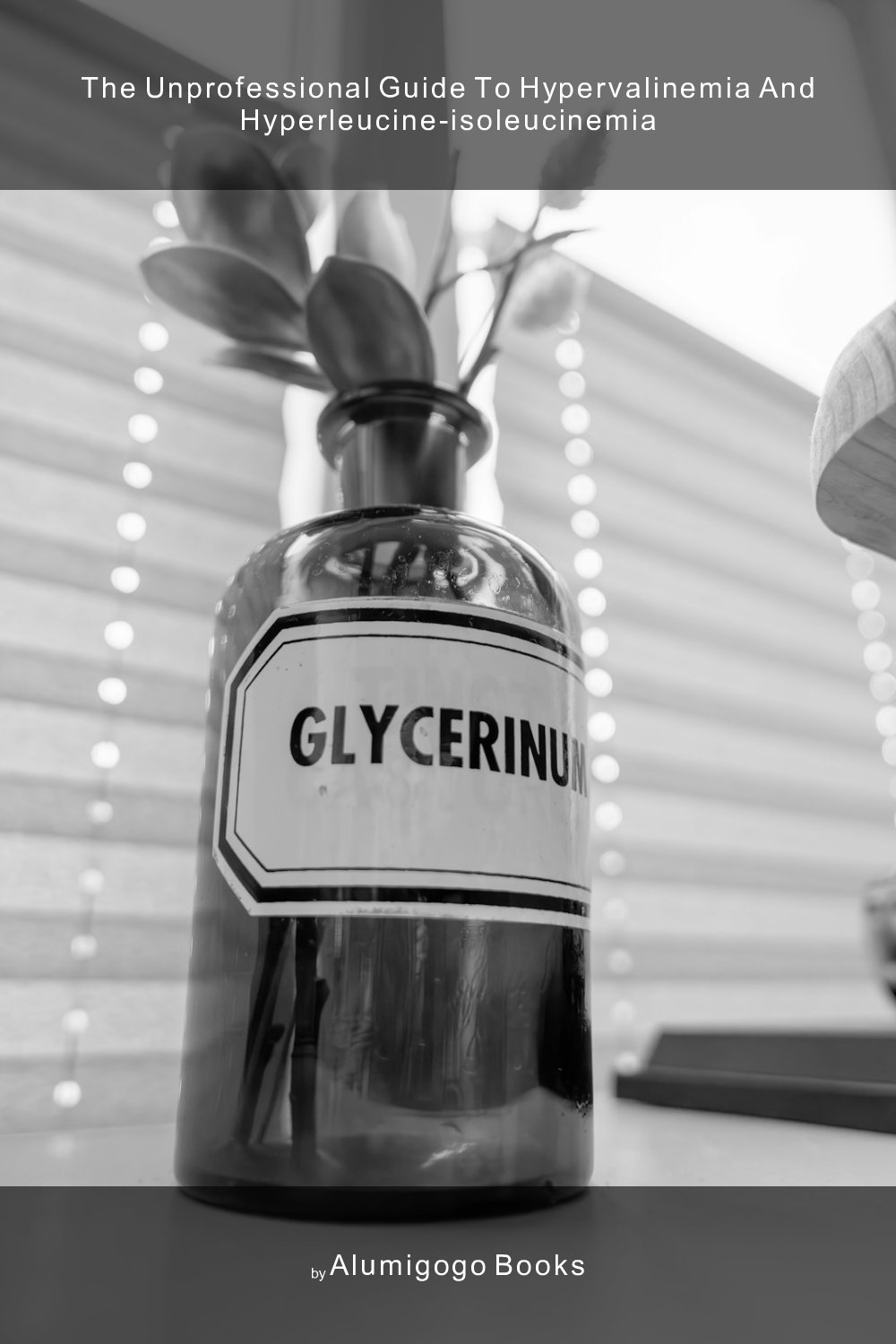 Cover of The Unprofessional Guide to hypervalinemia and hyperleucine-isoleucinemia