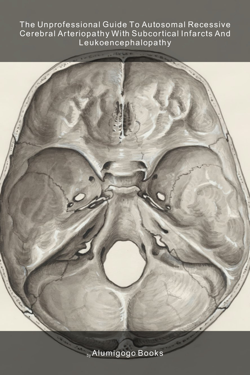 Cover of The Unprofessional Guide to autosomal recessive cerebral arteriopathy with subcortical infarcts and leukoencephalopathy